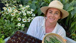 Jenna's small space with big harvests