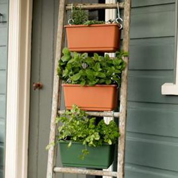 Herb Ladder Guide