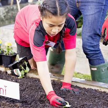 Kids Gardening Guide