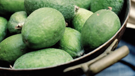 Feijoa variety favourites