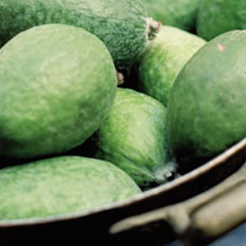 Feijoa variety favourites