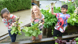 School Holiday Garden Games