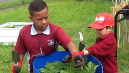 Papatoetoe West's School Garden