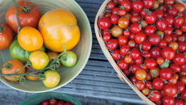 Annabel Langbein's First Flush of Summer