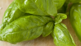 Bev's Basil Pesto