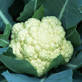 Cauliflower