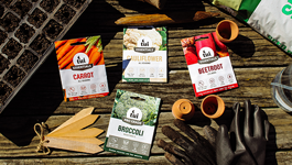 Autumn Seed Sowing Guide