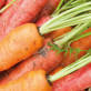 Carrots