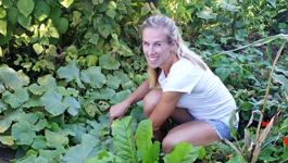 My Pride of Place - Laura's Kiwi Country Garden