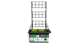 Tui Mobile Vege Patch