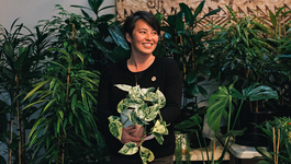 Cool Plants - Indoor Plant Guide
