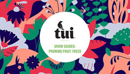 Tui Grow Guides - Pruning Fruit Trees