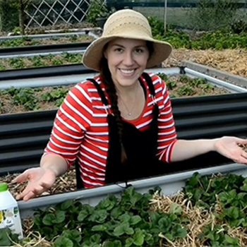 How to replant strawberry runners with Candy