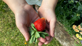 Generational gardening: Passing the spade