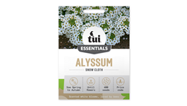 Alyssum - Snow Cloth