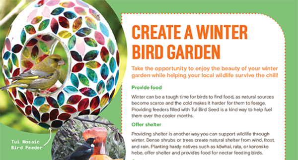 P13. Create a winter bird garden