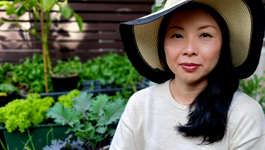 My Pride of Place: Caitlin's Small Space Garden