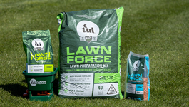 How to Sow a Lawn