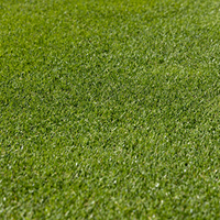 Benefits of Tui LawnForce Superstrike Lawn Seed