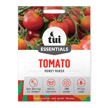 Tomato - Money Maker