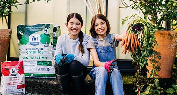 Vegetable Gardening