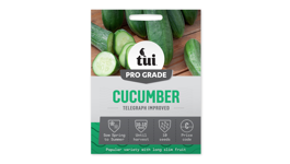 Cucumber - Telegraph Improved