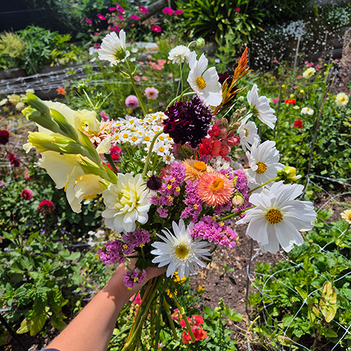One of Ellie's homegrown bouquets