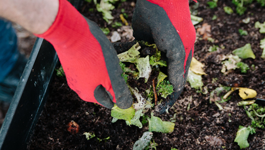 Worm Farm Frequently Asked Questions