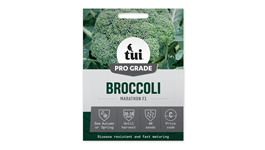 Broccoli - Marathon F1