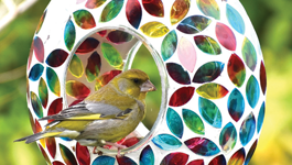 Create a winter bird garden