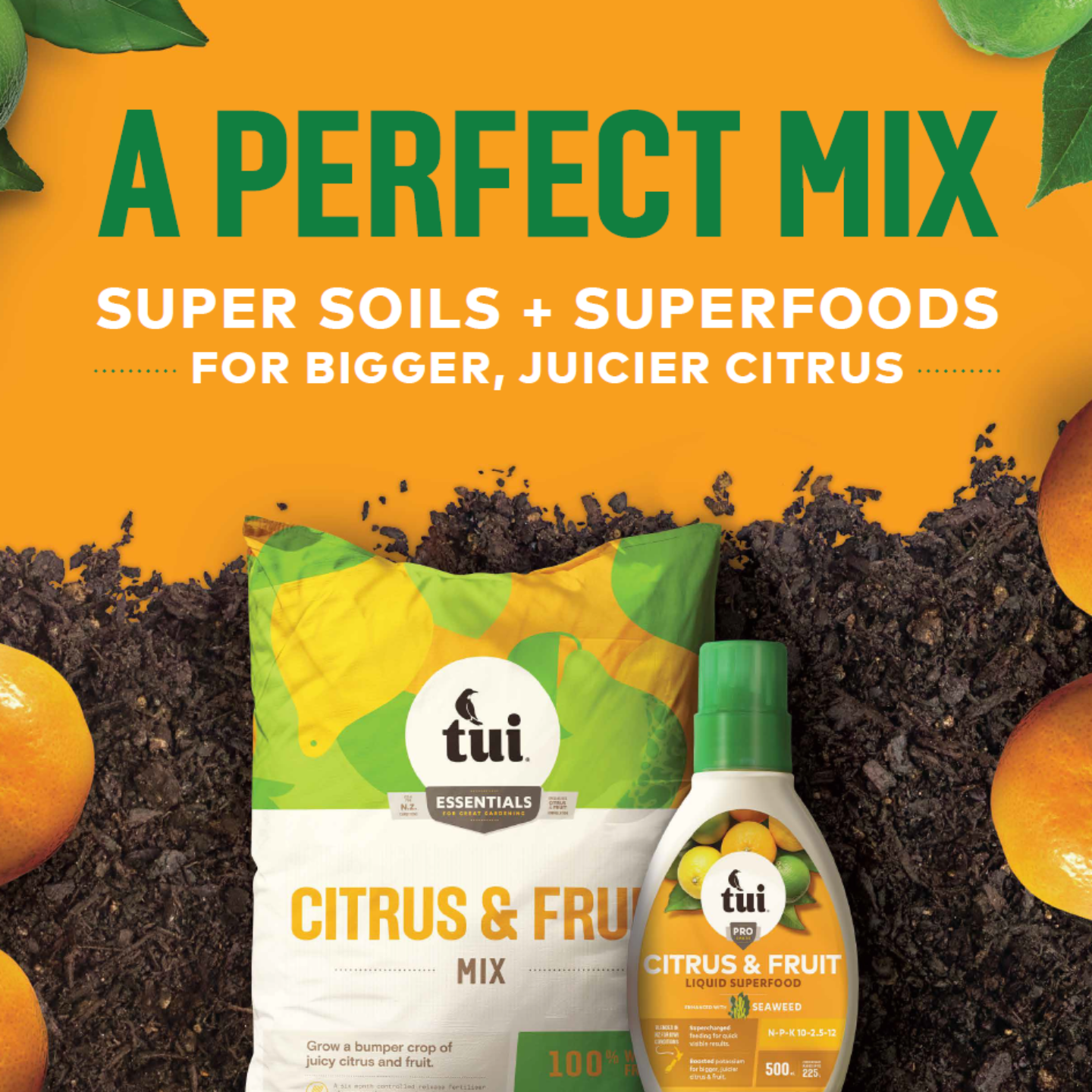 Tui A Perfect Mix Citrus