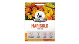 Marigold - Petite Mix