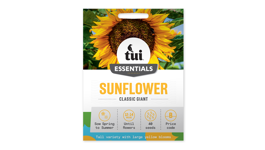 Sunflower - Classic Giant