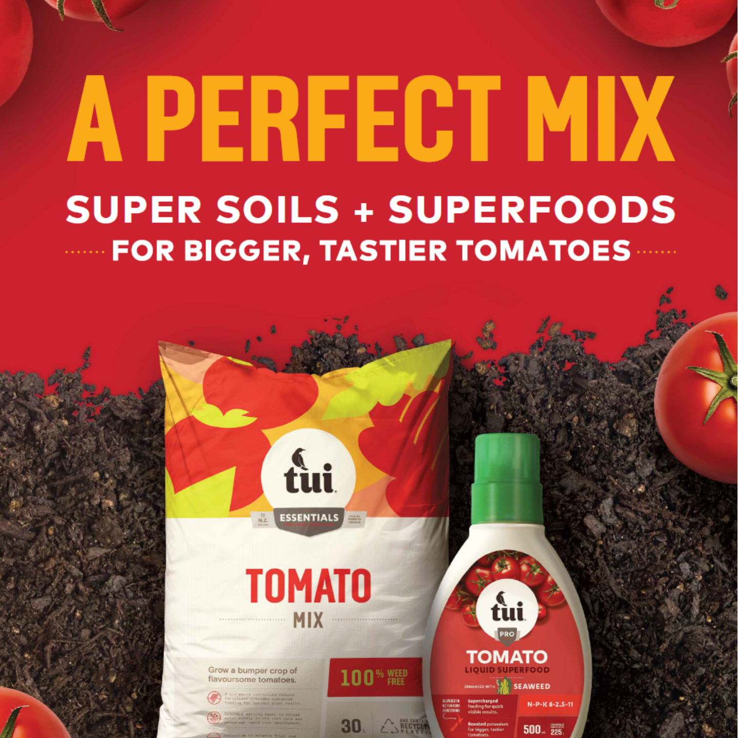 Tui A Perfect Mix Tomato