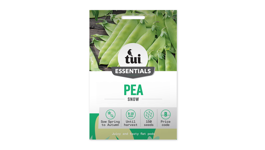 Pea - Snow