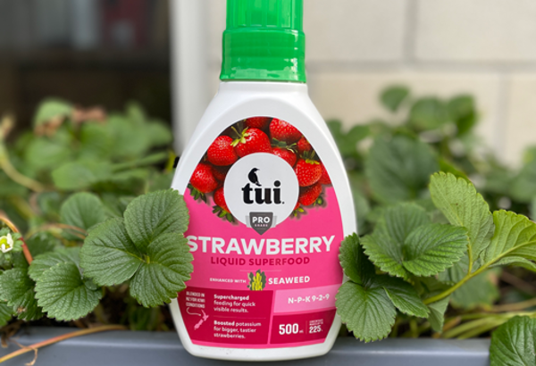 Tui Strawberry Liquid Superfood