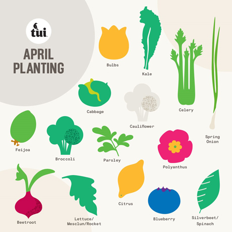 April gardening guide