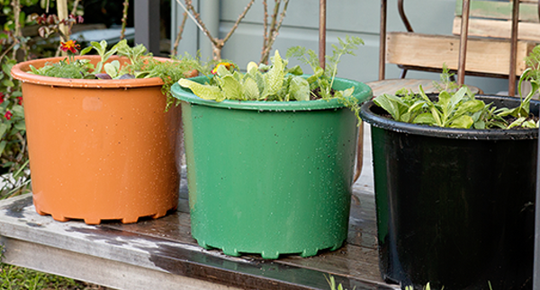 Tui Small Spaces Gardening Guide