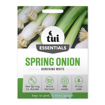 Spring Onion - Bunching White