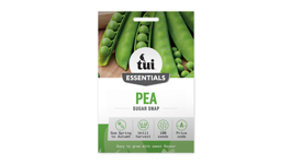 Pea - Sugar Snap