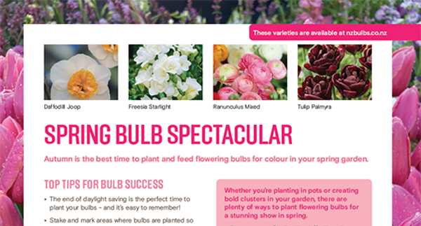 P5. Plan your spring bulb spectacular