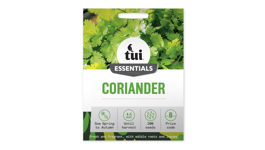 Coriander