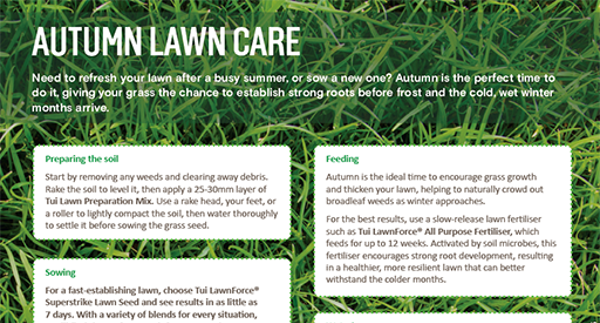 P11. Top tips for your autumn lawn