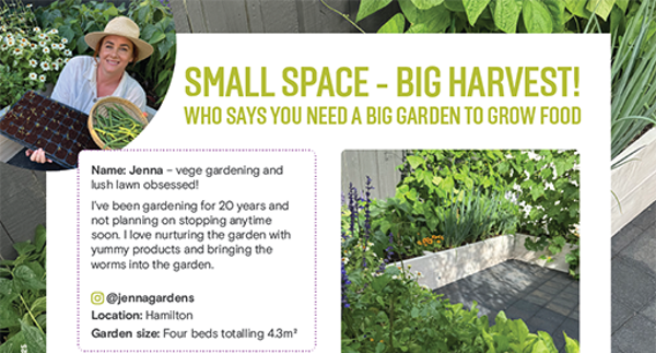 P6. Jenna's big plans for a small space